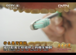 如何保护牙齿健康, 预防掉牙 2
